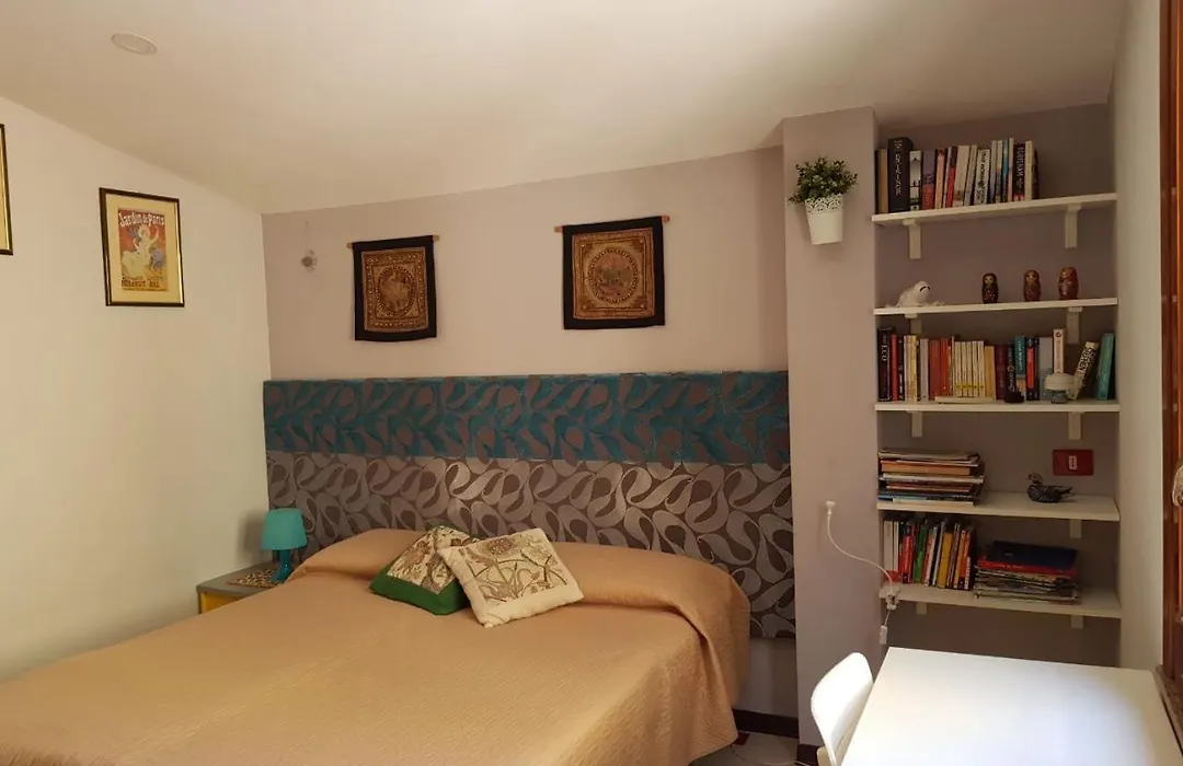 B&B Cactus-1