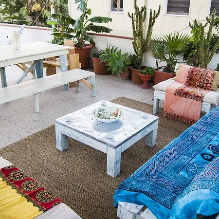 B&B Cactus-3